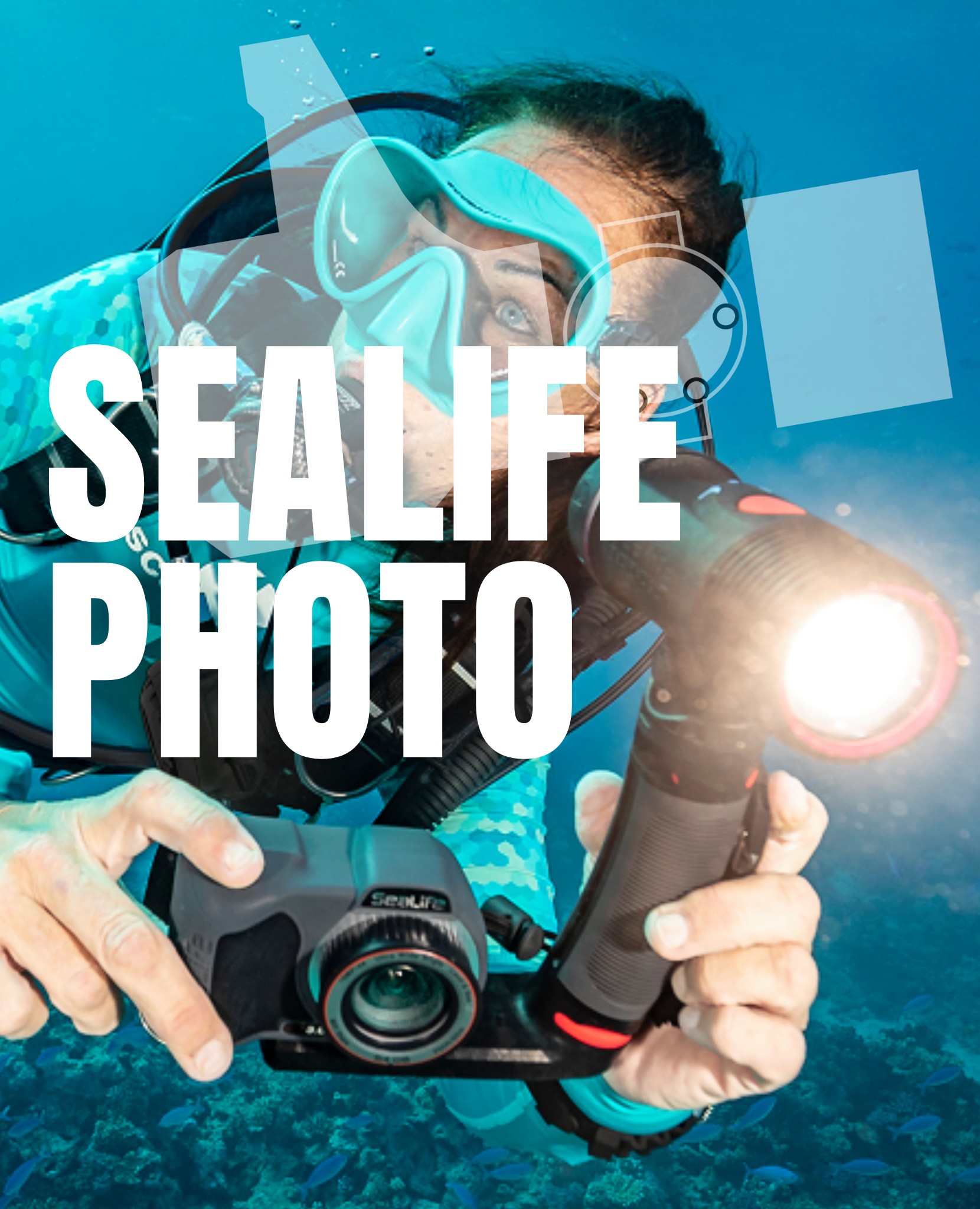 | Dans votre magasin 📣🐙|
Retrouvez les produits SeaLife et SeaDragon en magasin et sur notre #webshop 
Lampes, flashs, lentilles, filtres, caméras, appareils photos, platines, bras, caissons étanches... Tout ce sont vous avez besoin pour vous adonner à la photographie et vidéo sous-marine ! 
•
👉 https://retoursurface.fr/brand/41-sealife
•
#scubaa #scubalife #scubadive #scubaworld #scubadiver #scubaphoto #scubadiving #scubadivers #scubaadventures #dive #diving #divinglife #plongée #plongeetechnique #plongeebouteille #plongéesousmarine #plongéesousmarine #mondesousmarin #sealife #seadragon